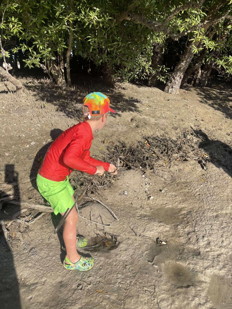 MUD