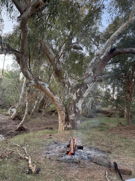 Coongan Long Pool3