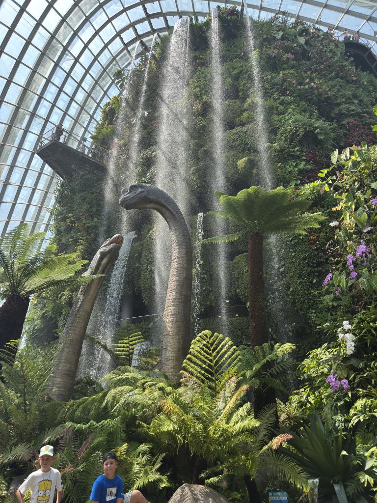 dino2