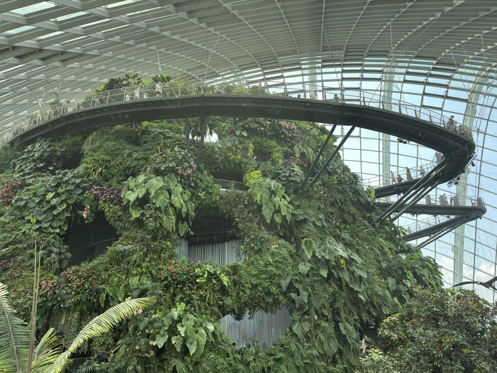 dino4